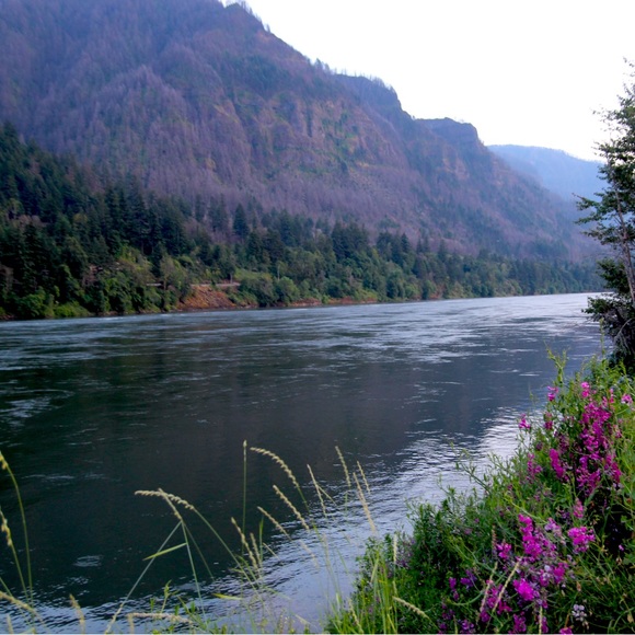 Purely giving - Picture 1 of 1